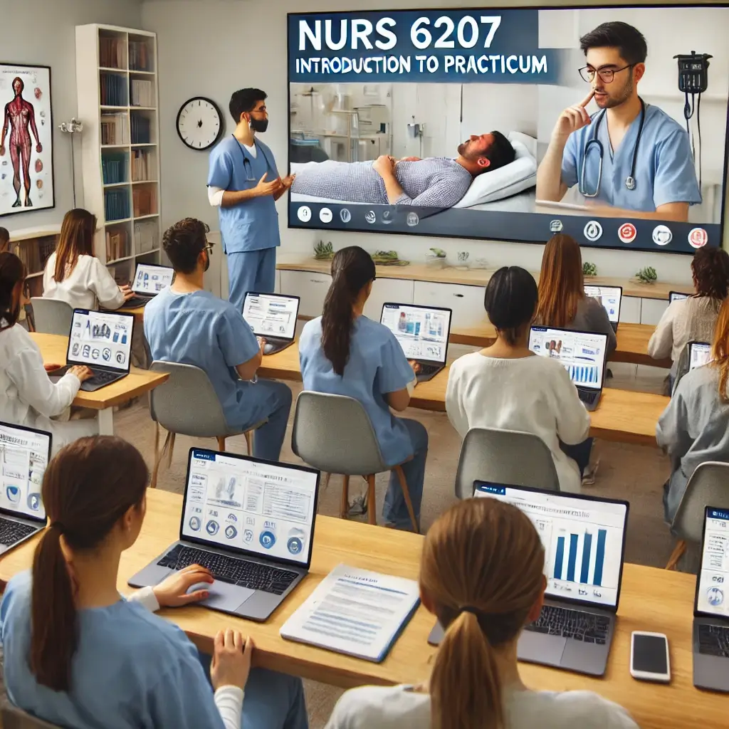 NURS 6207 Introduction to Practicum