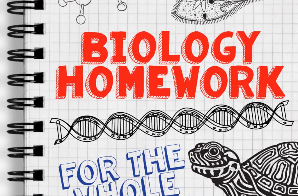 Biology Homework Help | Expert Academic Assistance at StudyDoll.com